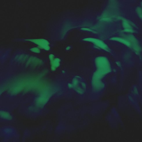 Glass Face - Roses (nvrmore rmx) wavemob.jpeg